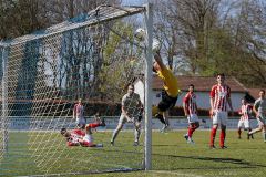 ASV Au - TSV Buchbach II