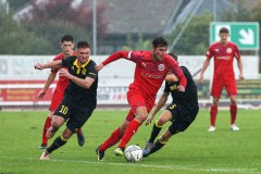 Fussball Regionalliga Bayern, TSV 1860 Rosenheim, SpVgg Bayreuth, Regionalliga