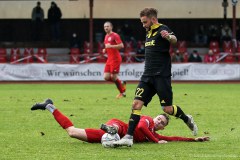 Fussball Regionalliga Bayern, TSV 1860 Rosenheim, SpVgg Bayreuth, Regionalliga